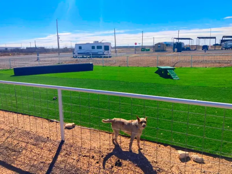 On-site dog run and pet area at RV Park of Odessa