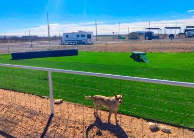 Odessa RV Park - Dog Park and Dog Run